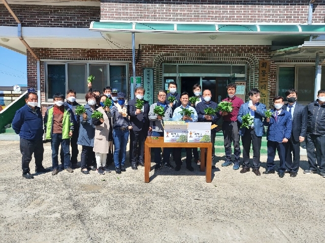 서부여농협 백마강취나물 작목회 홍보 대표 이미지