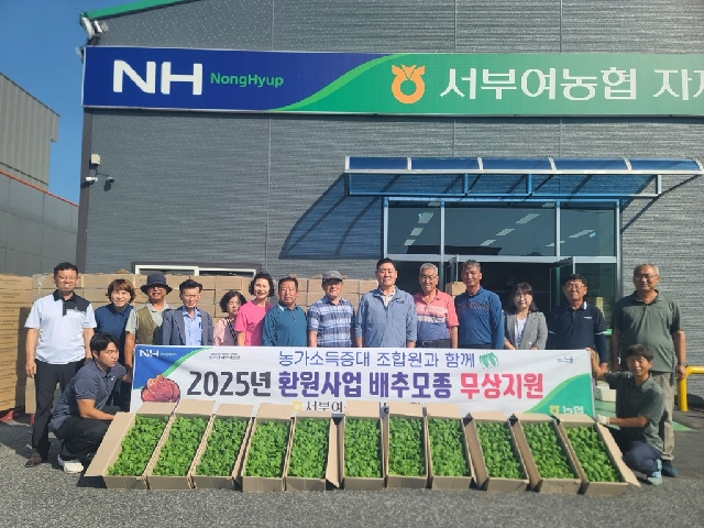 서부여농협 4개면 배추모종 무상공급 대표 이미지